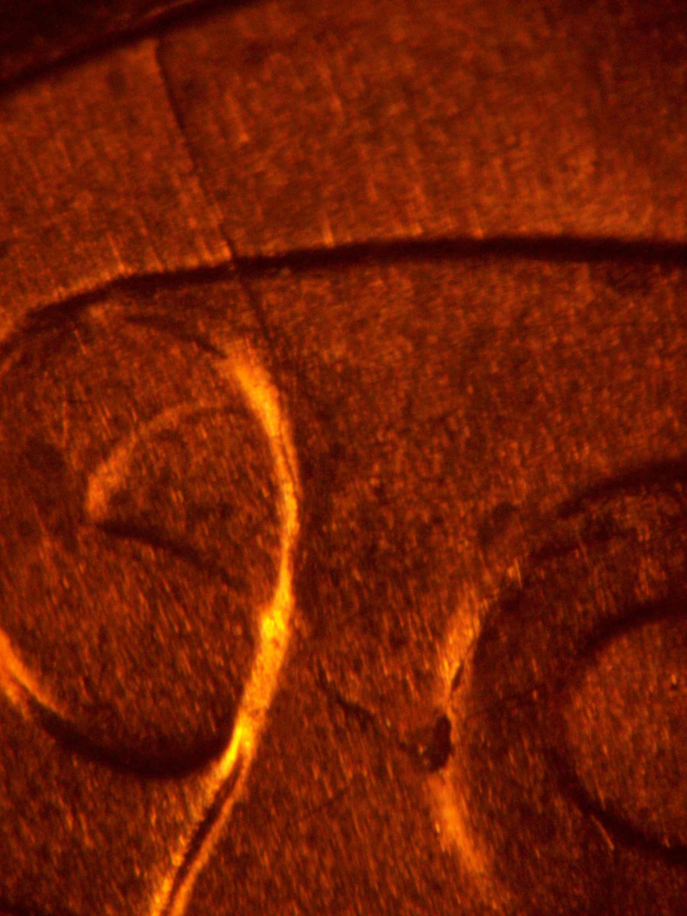2021-P-Lincoln-Shield-Cent-New-Discovery-Doubled-Die-OBV-On-Date-Extra-Thick-And-Ust-Very-Minor